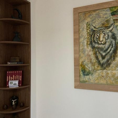 Willa Casa Mountain View Braszów Zewnętrze zdjęcie